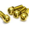 Reverse Schroevenset Voor Schijfrem M6 18mm - 4 Stuks - Goud