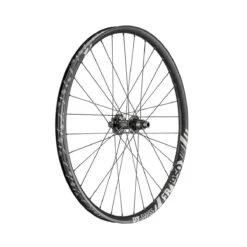 Dt-swiss FR 1950 Classic DB 29 Inch Achterwiel, 30mm Lichtmetaal, IS-6 Gat, Shimano, 150/12mm TA